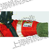 化學(xué)成分檢測試紙貼片（美國）